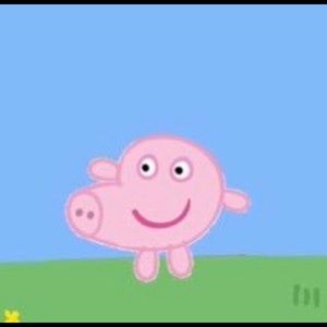 Meet your Posher, Lorenzo